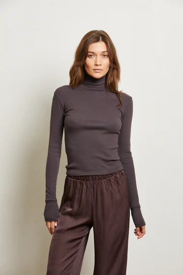 PerfectWhiteTee Hayden Luxe Rib Turtle Neck