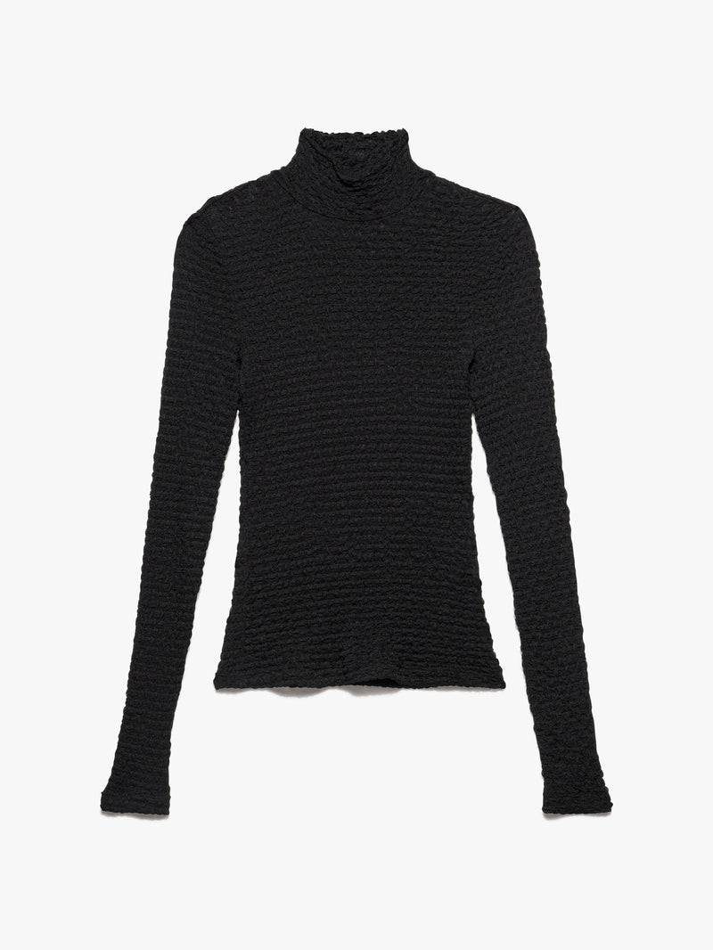 Frame Mesh Lace Turtleneck