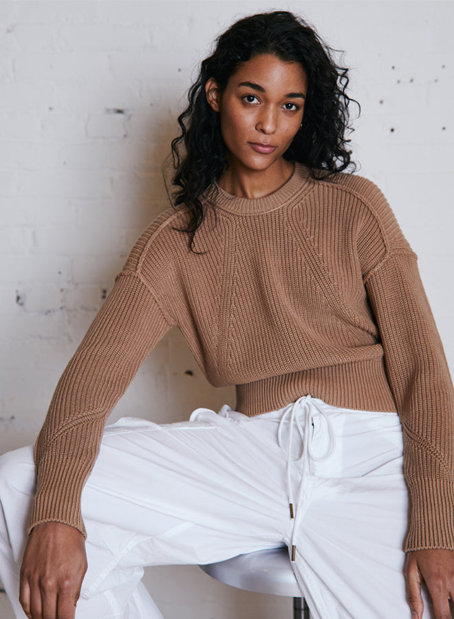 Autumn Cashmere Exposed Seam Shaker Crew